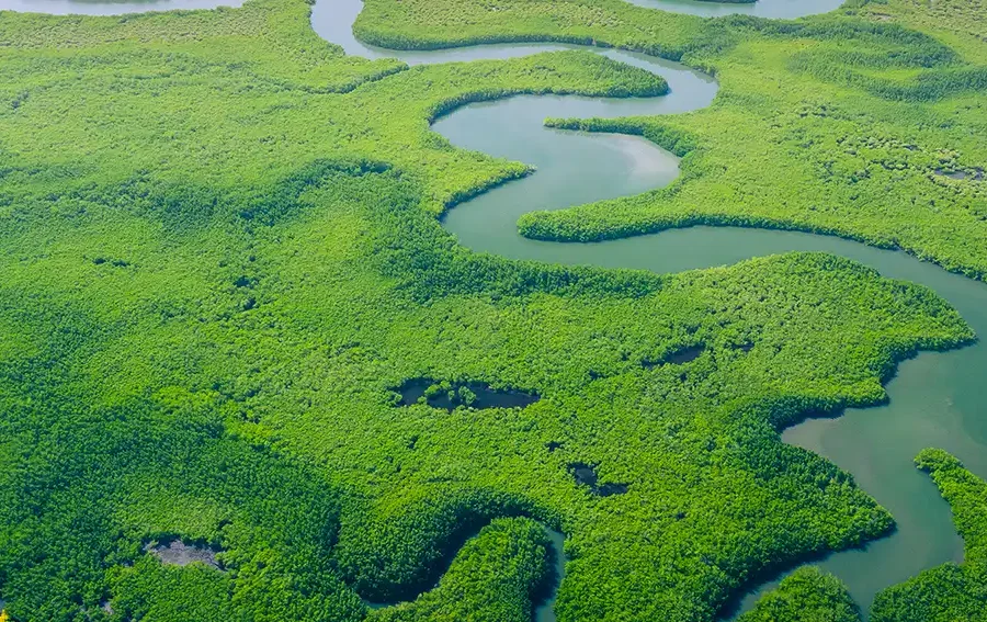 Frontline Resource Institute