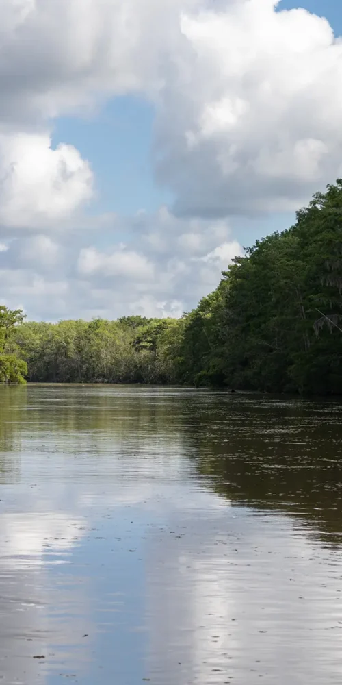 Old Pearl River lined with Green Trees in White Kitchen of St. Tammany Parish Louisiana