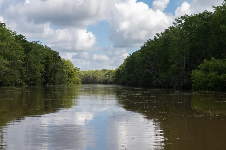 Old Pearl River lined with Green Trees in White Kitchen of St. Tammany Parish Louisiana
