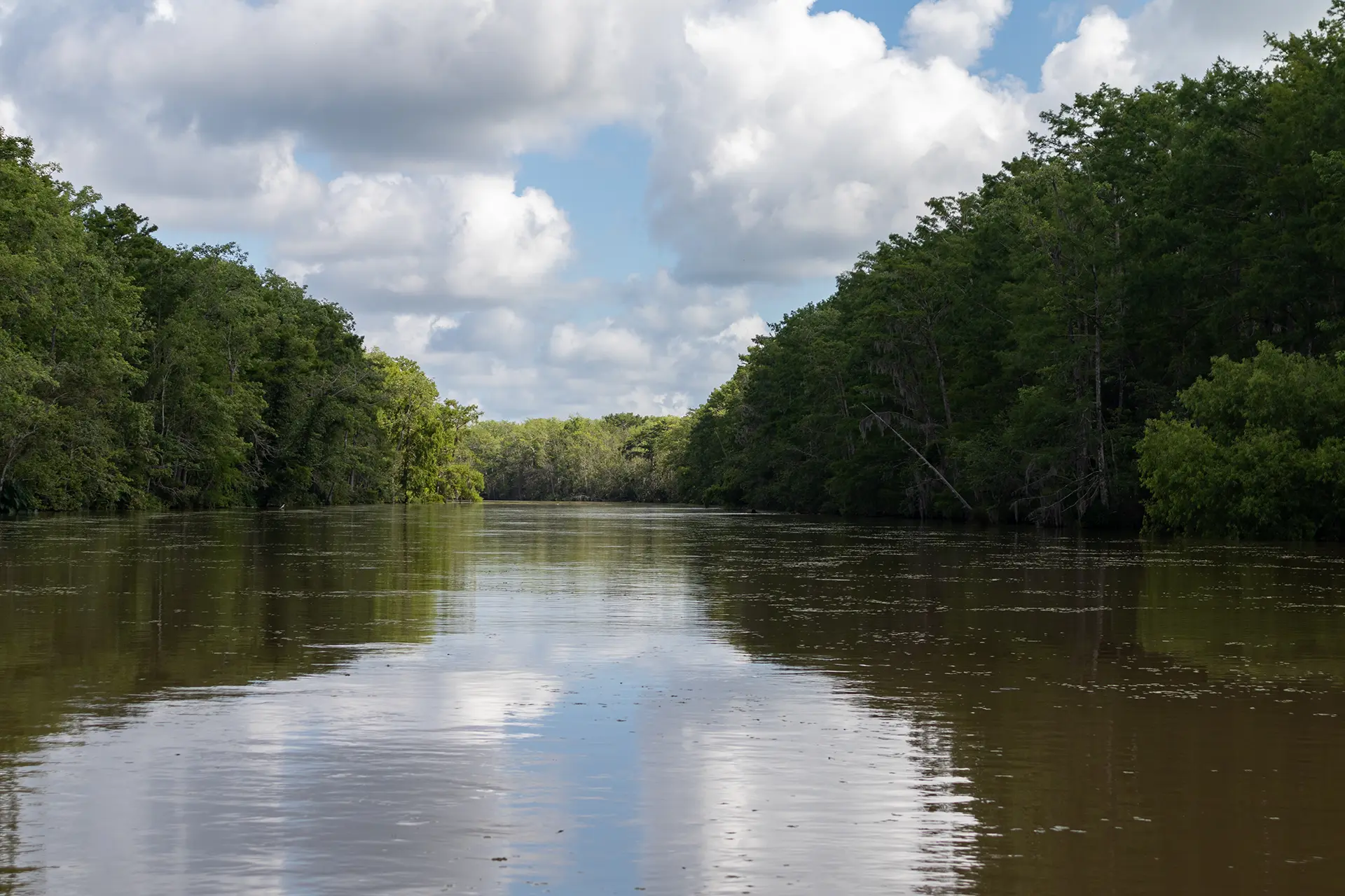 Old Pearl River lined with Green Trees in White Kitchen of St. Tammany Parish Louisiana